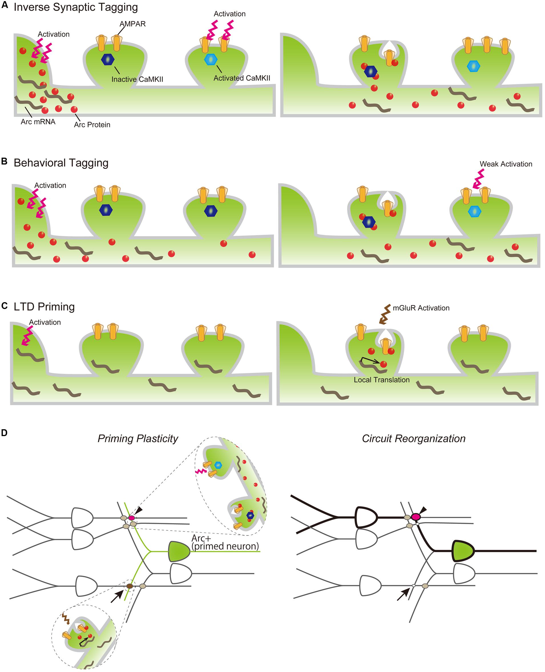 phd thesis on fuzzy logic phd thesis on fuzzy logic