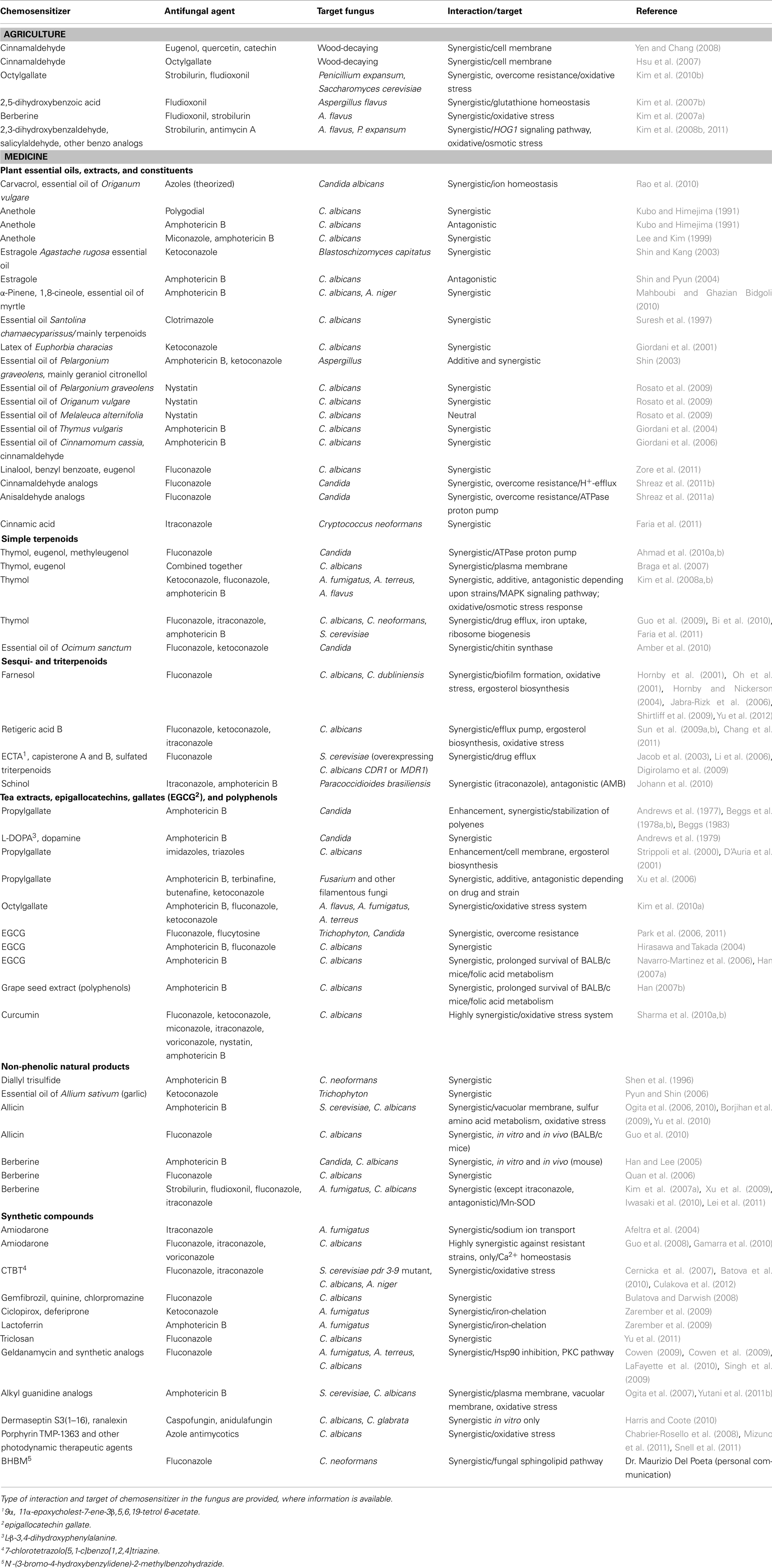 bioluminescence in fungi essay bioluminescence in fungi essay