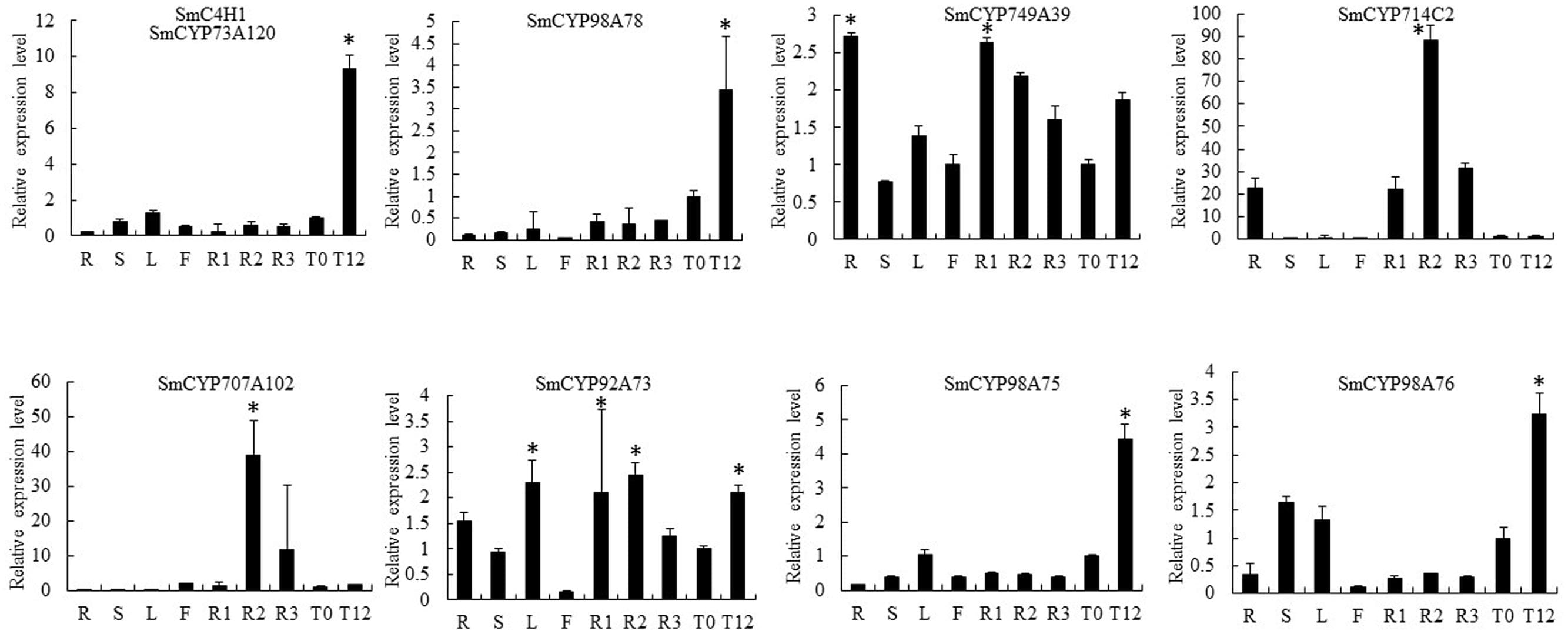 Quantitative reverse transcription-polymerase chain reaction (qRT-PCR) analysis of candidate CYP450s with putative roles in RA biosynthesis in different tissues (periderm, phloem, xylem, root, stem, leaf, flower) and in leaves without or with MeJA treatment (MeJA-0 and MeJA-12, respectively) in S. miltiorrhiza. SmC4H1 and SmCYP98A78 were used as positive controls. The asterisks (∗) represent significant differences in this comparison (P < 0.01).