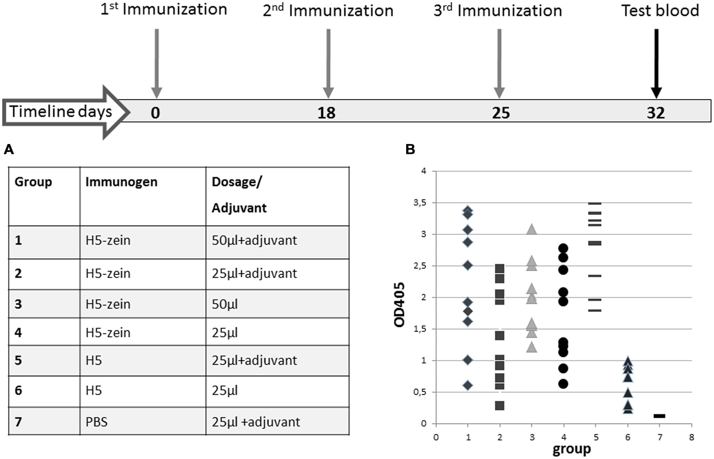 Immunization timeline and IgG responses in the seven treatment groups. (A) All mice were injected with a primary dose of H5-zein (6 μg/ml) or H5 (0.6 mg/ml), both in sterile PBS, with or without Freund’s complete adjuvant. For the second and third injections, the adjuvant was switched to Freund’s incomplete adjuvant. (B) ELISA analysis of the anti-H5 IgG response following the third immunization. A single dot represents the ELISA result from a single serum sample. Each treatment group comprised 10 mice.