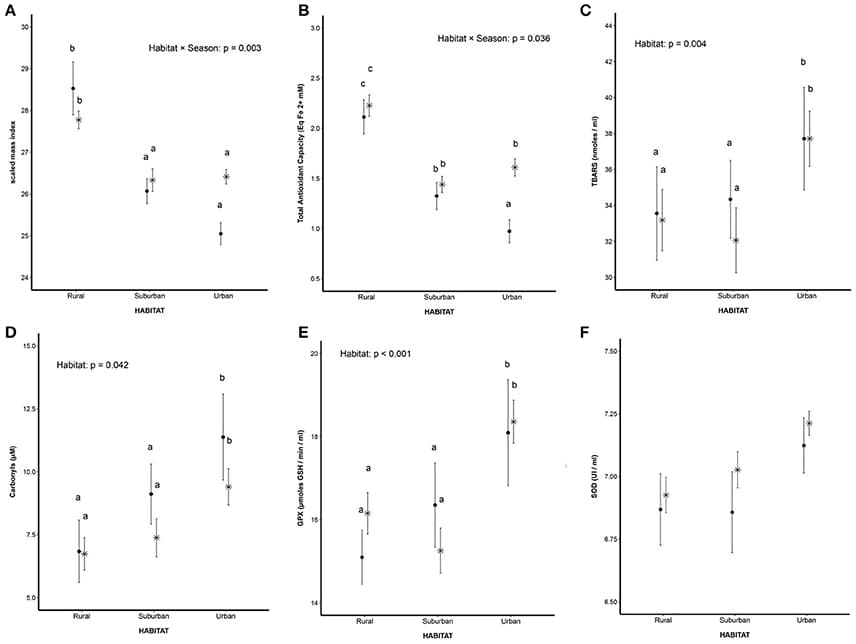 Body condition and oxidative stress biomarkers analyzed. (A) Body condition calculated as scaled mass index (SMI). Values are expressed as mean ± S.E.M. Asterisk (*) represent individuals captured at winter and filled circles (•) represent individuals captured during the breeding season. Letters indicate statistical difference: means with the same letter are not statistically different (Tukey's tests, p ≤ 0.05); (B) Total antioxidant capacity calculated as FRAP. Values are expressed as mean ± S.E.M. Asterisk (*) represent individuals captured at winter and filled circles (•) represent individuals captured during the breeding season. Letters indicate statistical difference: means with the same letter are not statistically different (Tukey's tests, p ≤ 0.05); (C) Lipid damage calculated as TBARS. Values are expressed as mean ± S.E.M. Asterisk (*) represent individuals captured at winter and filled circles (•) represent individuals captured during the breeding season. Letters indicate statistical difference: means with the same letter are not statistically different (Tukey's tests, p ≤ 0.05); (D) Protein damage calculated as concentration of carbonyls groups. Values are expressed as mean ± S.E.M. Asterisk (*) represent individuals captured at winter and filled circles (•) represent individuals captured during the breeding season. Letters indicate statistical difference: means with the same letter are not statistically different (Tukey's tests, p ≤ 0.05); (E) Glutathione peroxidase activity (GPX). Values are expressed as mean ± S.E.M. Asterisk (*) represent individuals captured at winter and filled circles (•) represent individuals captured during the breeding season. Letters indicate statistical difference: means with the same letter are not statistically different (Tukey's tests, p ≤ 0.05); (F) Superoxide dismutase activity (SOD). Values are expressed as mean ± S.E.M. Asterisk (*) represent individuals captured at winter and filled circles (•) represent individuals captured during the breeding season.