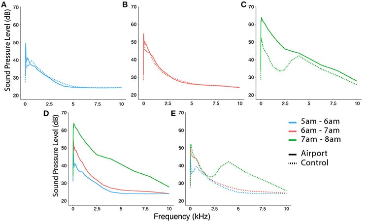 (A–C) show the noise distribution along the spectrum during the three time intervals defined previously: “no traffic,” “traffic runway 3,” and “traffic runway 4.” In each of these three plots, dashed lines represent the control site and continuous lines represent the airport site. We can see that both sites are very similar in (A,B) but this changes dramatically in (C) that shows the start of the noise produced by the day-time traffic. Here we can appreciate how aircraft noise overlaps at least partially with the frequencies typical of bird vocalizations whose normal representation in a quiet forest looks similar to the control curve. Finally, (D,E) show the three time intervals plotted together for each study site separately illustrating more clearly the increase of noise at dawn.
