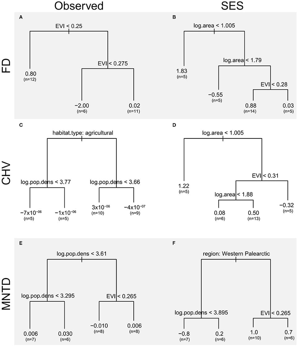 Regression trees of differences in the functional diversity between urban and non-urban avian assemblages as a function of city traits EVI, a measure of the amount of vegetation, log area, log10 of the spatial extent of the urban area (km2) and log.pop.density, log10 of the human population density (km−2), nature of the non-urban assemblages (natural habitat or agricultural land) and bio-region. Regression trees are presented for (A,B) FD, (C,D) CHV, and (E,F) MNTD functional diversity metrics using observed values and standardized effect size metrics (SES) that take species richness into account. The left-hand branch of each tree is followed when the condition stated at the top of the branch is met. The length of each branch is proportional to the deviance explained by each split, the values at the end of each branch are the group mean and (in parentheses) the number of observations contributing to each branch.