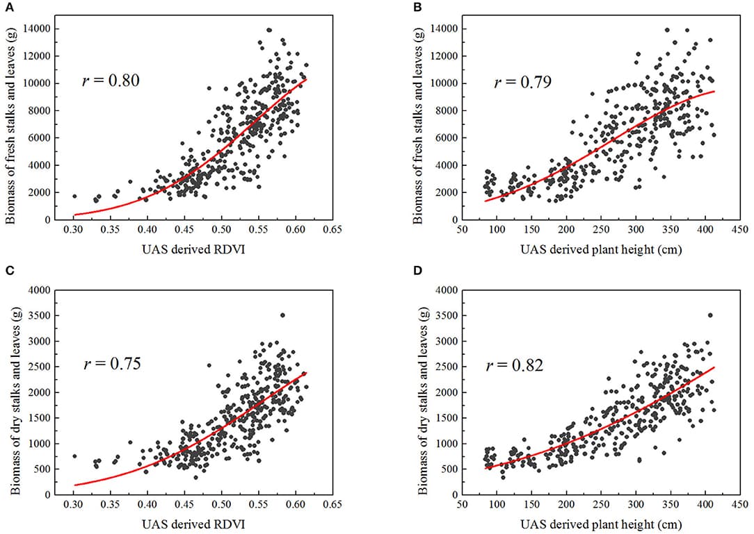 Exponential correlations between some UAS-derived traits and the manually sampled biomass of stalks and leaves (fresh or dry), over 363 plots: (A) RDVI and fresh biomass, (B) plant height and fresh biomass, (C) RDVI and dry biomass, (D) plant height and dry biomass.
