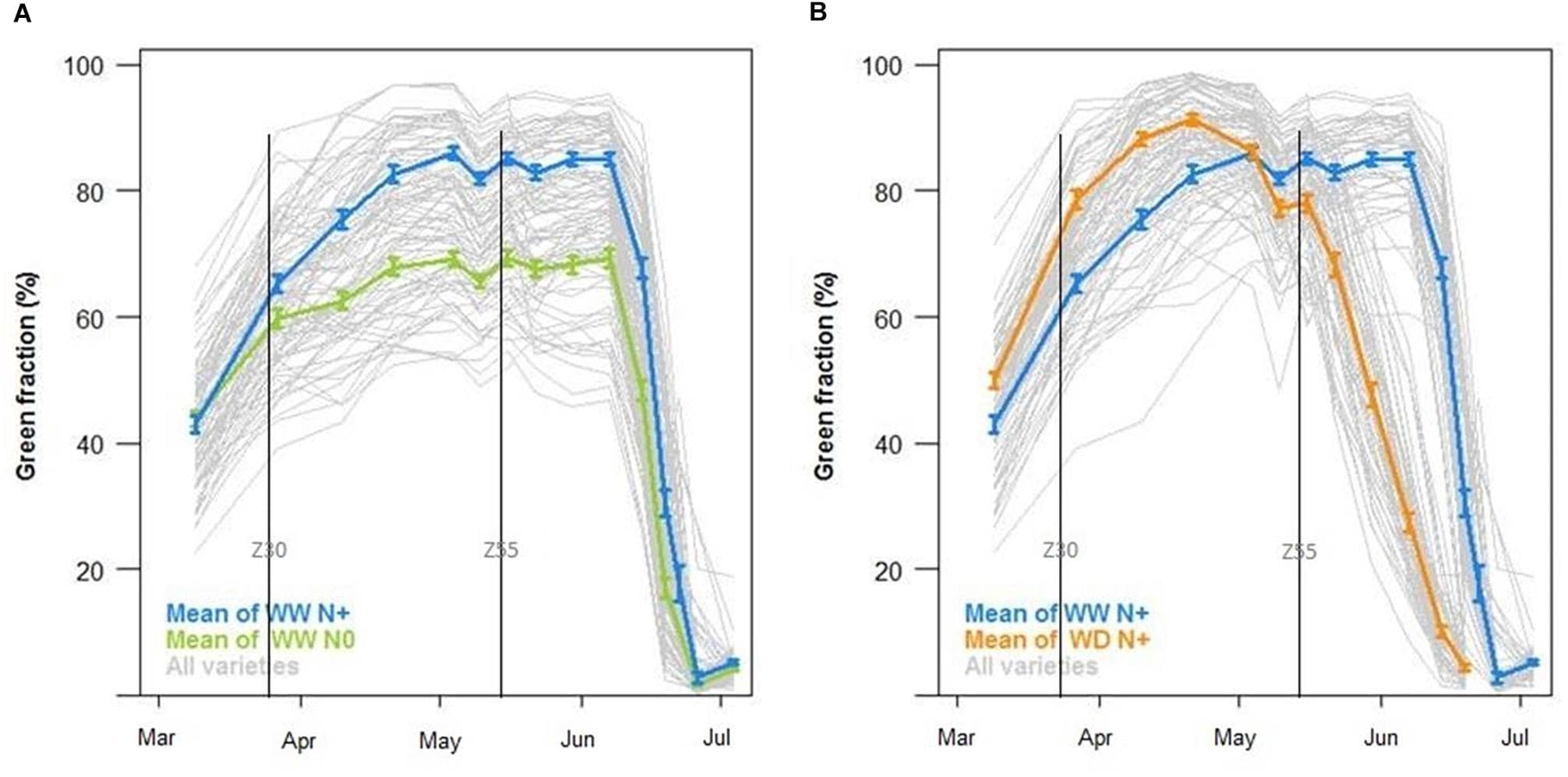 Green fraction (%) during the growing season (A) with the mean of well-watered conditions with nitrogen input (WW N, in blue) against well-watered conditions without nitrogen input (WW N0, in green) and (B) with the mean of well-watered conditions with nitrogen input (WW N, in blue) against water deficient conditions with nitrogen input (WD N+, in orange, N = 44, ±SE) and curves of all varieties (in gray).