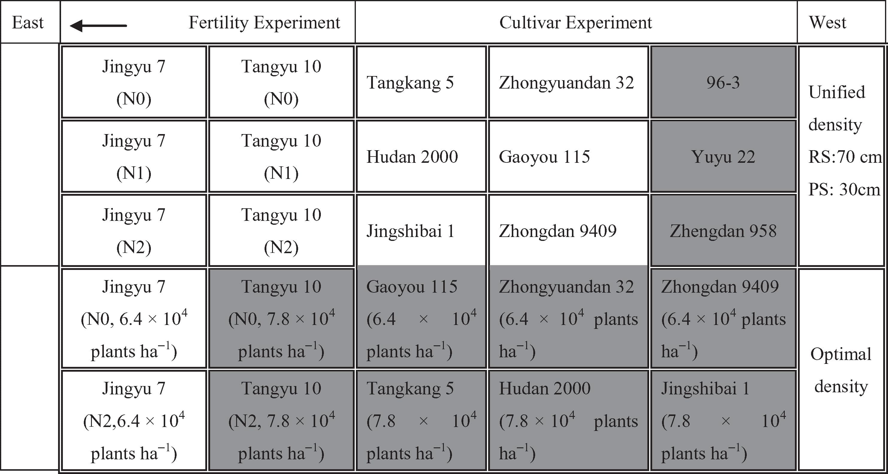1 with different cultivars, density, and nitrogen fertilizer treatments. Eleven cultivars were selected, including four compact type cultivars, four semi-compact type cultivars, and three spread type cultivars. These were sown at a unified planting density with a row spacing of 70 cm and plant spacing of 30 cm. Two of these cultivars, i.e., Jingyu 7 and Tangyu 10, were selected to conduct a fertility experiment of the three nitrogen treatments. Moreover, 10 additional density treatment plots were also set up with a density of 7.8 × 104 plants ha−1 for compact type cultivars and a density of 6.4 × 104 plants ha−1 for semi-compact type cultivars. There were 25 15m x 7m plots in total. No plot had duplicated treatment with the others. N0, N1 and N2 represented N application treatments with the dose of 0, 75 and 150 kg ha−1, respectively. RS and PS denoted row spacing and plant spacing, respectively. The Chl content of the 11 shaded plots were measured only at VE and R1 growth stages.