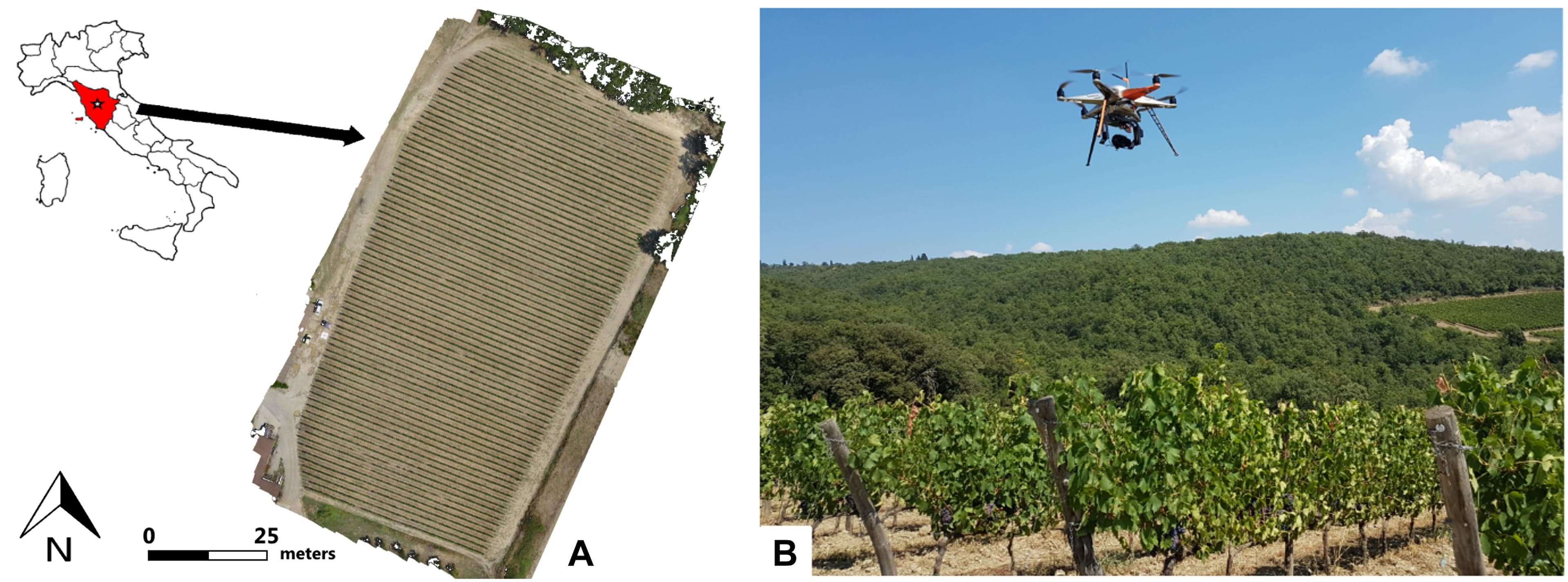 Field location map (A) and UAV platform (B).