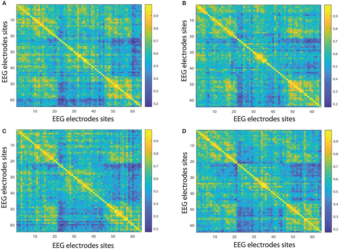 Network interconnectivity. (A,B) Show the network averaged values of the interconnectivity considering 109 subjects when performing the visuomotor task for the 64-channel EEG considering the different oscillation bands alpha 1 and alpha 2. (C,D) Are the same as (A,B) but considering the imagined task. We consider D = 6 and τ = 1. Gamma 1 oscillation band corresponds to [31, 41)Hz and gamma 2 oscillation band to [41, 50)Hz.