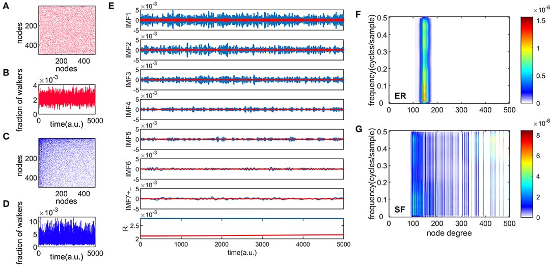 Different temporal modes of information flow in complex networks. Panels (A,C) are examples of ER and SF connectivity matrices, respectively, with N = 500 and e = 0.9. Panels (B,D) show one realization of the information flow in the network for 5000 time steps, for ER and SF networks, respectively. The total number of walkers present in each network was 104. Panel (E) shows the empirical mode decomposition (EMD) of the time series in panels (B,D), producing different intrinsic mode functions (IMF), and a residue (R). This appears in red (blue) for the ER (SF) networks. Panels (F,G) show the spectrum of the random walk process organized by the node degree for ER and SF networks, respectively.