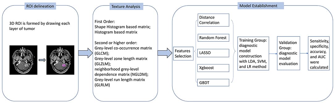 Flow chart of image processing and machine learning.