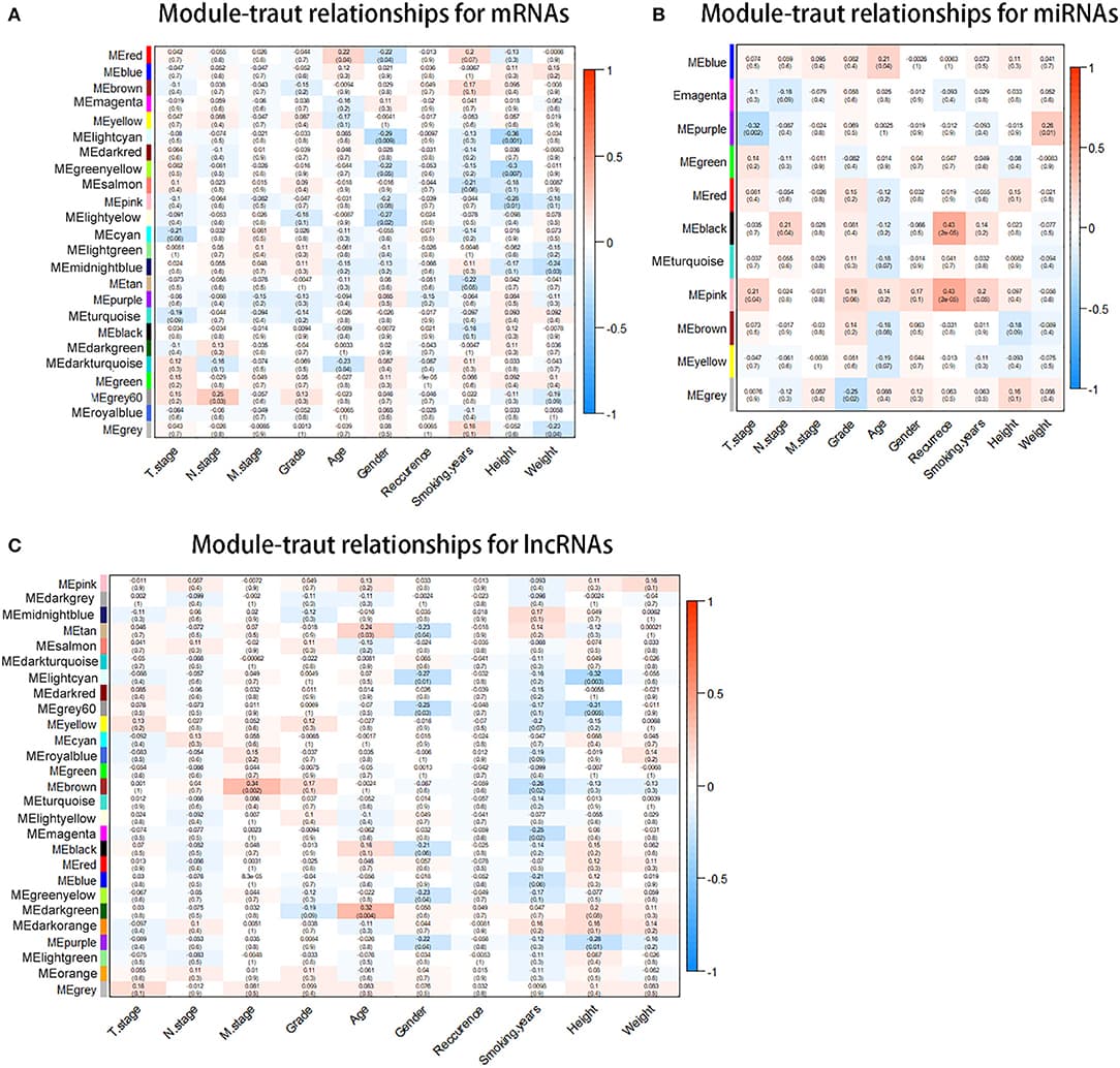 Identification of modules associated with the clinical traits of esophageal squamous cell carcinoma (ESCC). (A) Distribution of average messenger RNA (mRNA) significance and errors in the modules associated with the T stage in ESCC. (B) Distribution of average microRNA (miRNA) significance and errors in the modules associated with the T stage. (C) Distribution of average long non-coding RNA (lncRNA) significance and errors in the modules associated with the T stage of esophageal squamous cell carcinoma (ESCC).