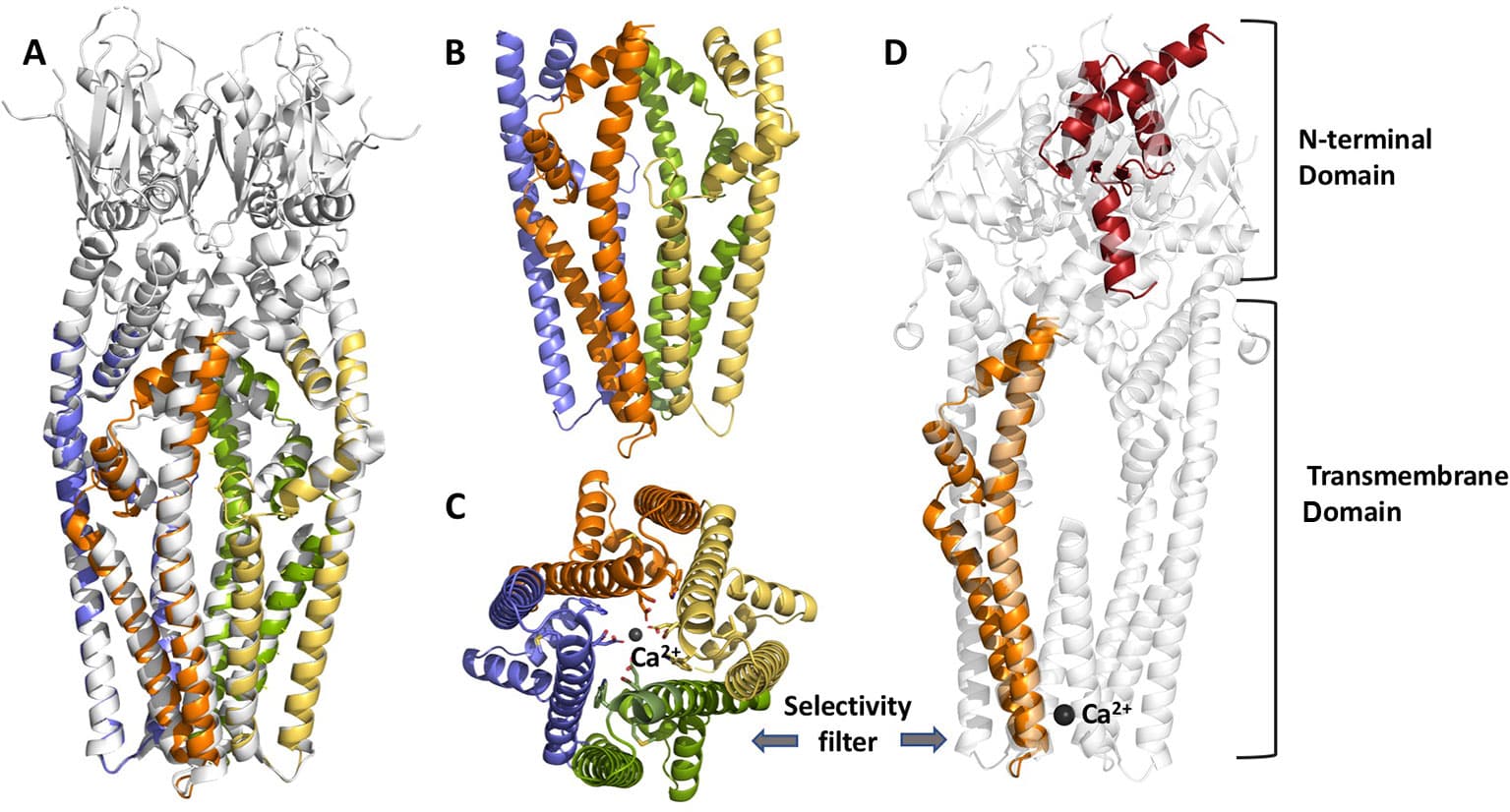 Article Cover Image