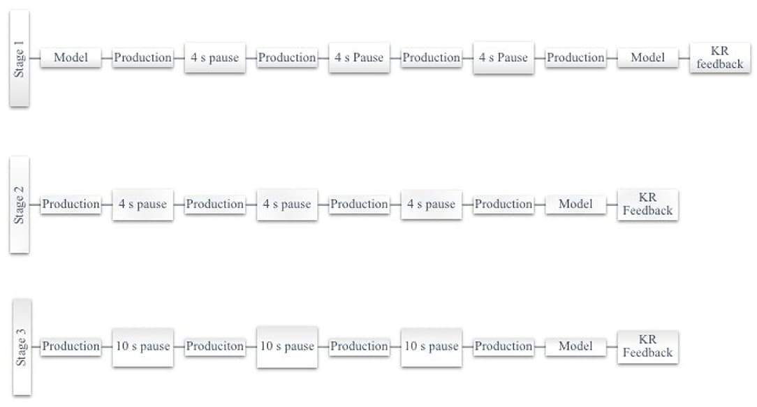 Schematic of practice schedule according to motor learning guided treatment protocol.