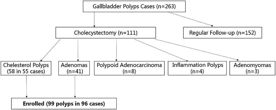 Flow chart of participant enrolment. Totally, 263 patients with gallbladder polyps (size >7 mm) were referred to our hospital: 152 cases chose clinical follow-up, 111 underwent cholecystectomy for pathological proven cholesterol polyps (n = 58), gallbladder tubular adenomas (n = 41), gallbladder polypoid adenocarcinomas (n = 8), inflammation polyps (n = 4), and adenomyomas (n = 3). Finally, 99 gallbladder polyps (cholesterol polyps and adenomas) in 96 patients were enrolled.
