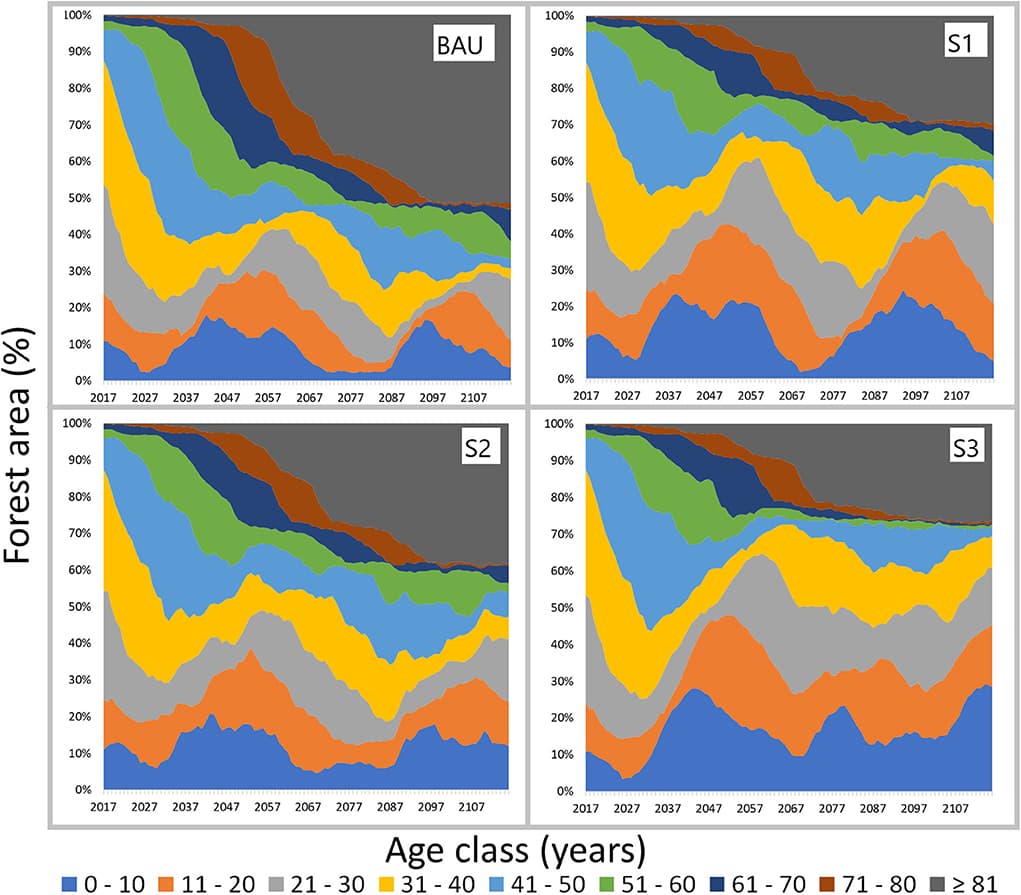 Percent forest area by age class over the planning horizon for four scenarios.