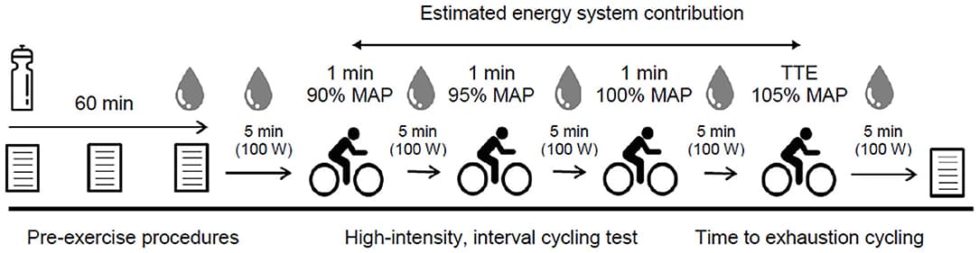 Schematic overviewing procedures during experimental visits; MAP, maximal aerobic power; TTE, time to exhaustion.