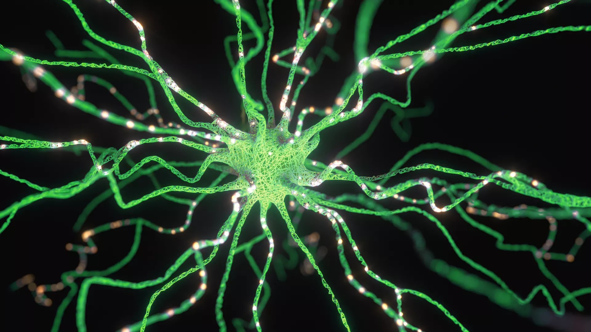 Cover image for "Neurorobotics explores Machine Learning"