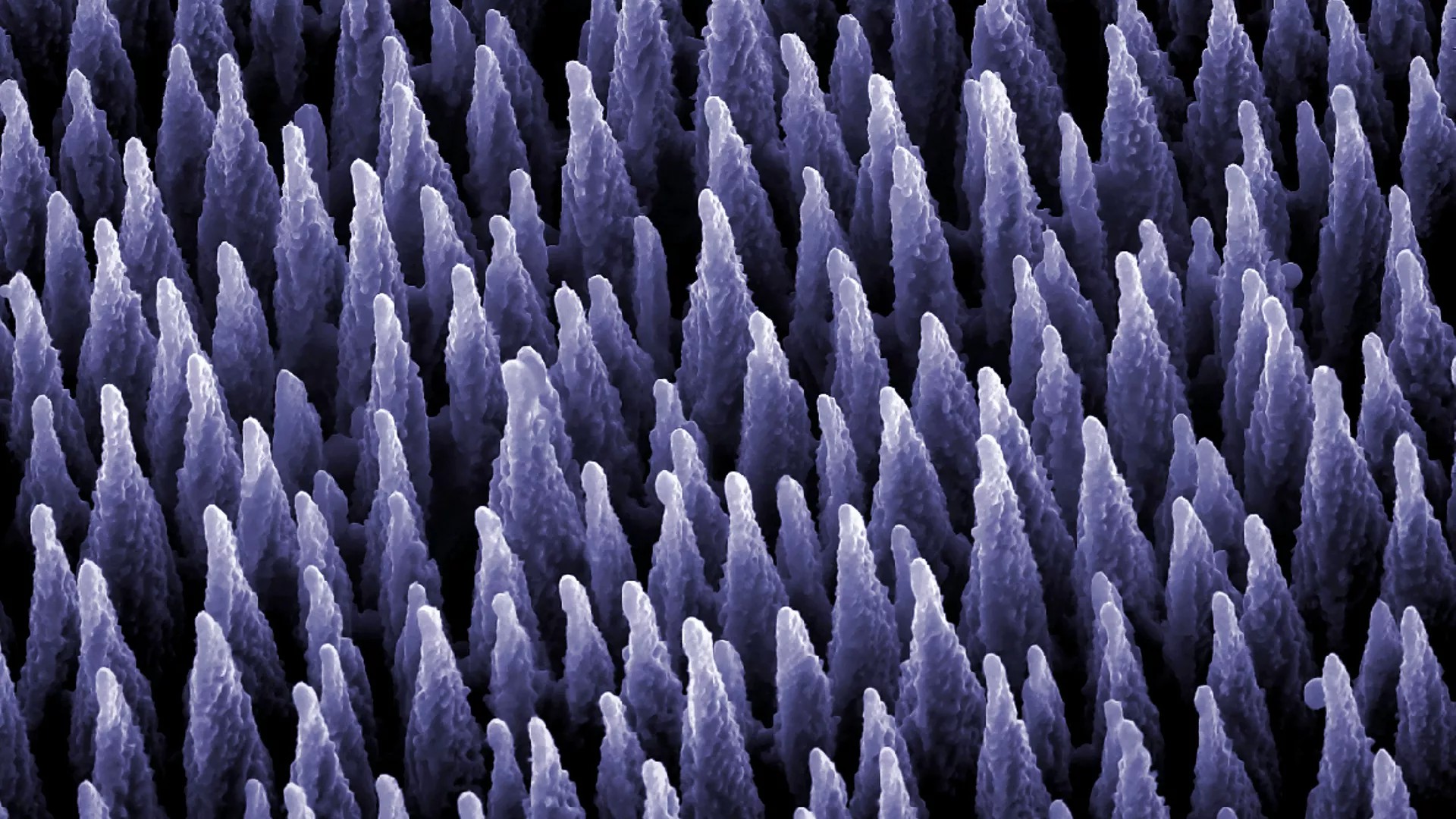 Cover image for "2021 Retrospective: Computational Materials Science"