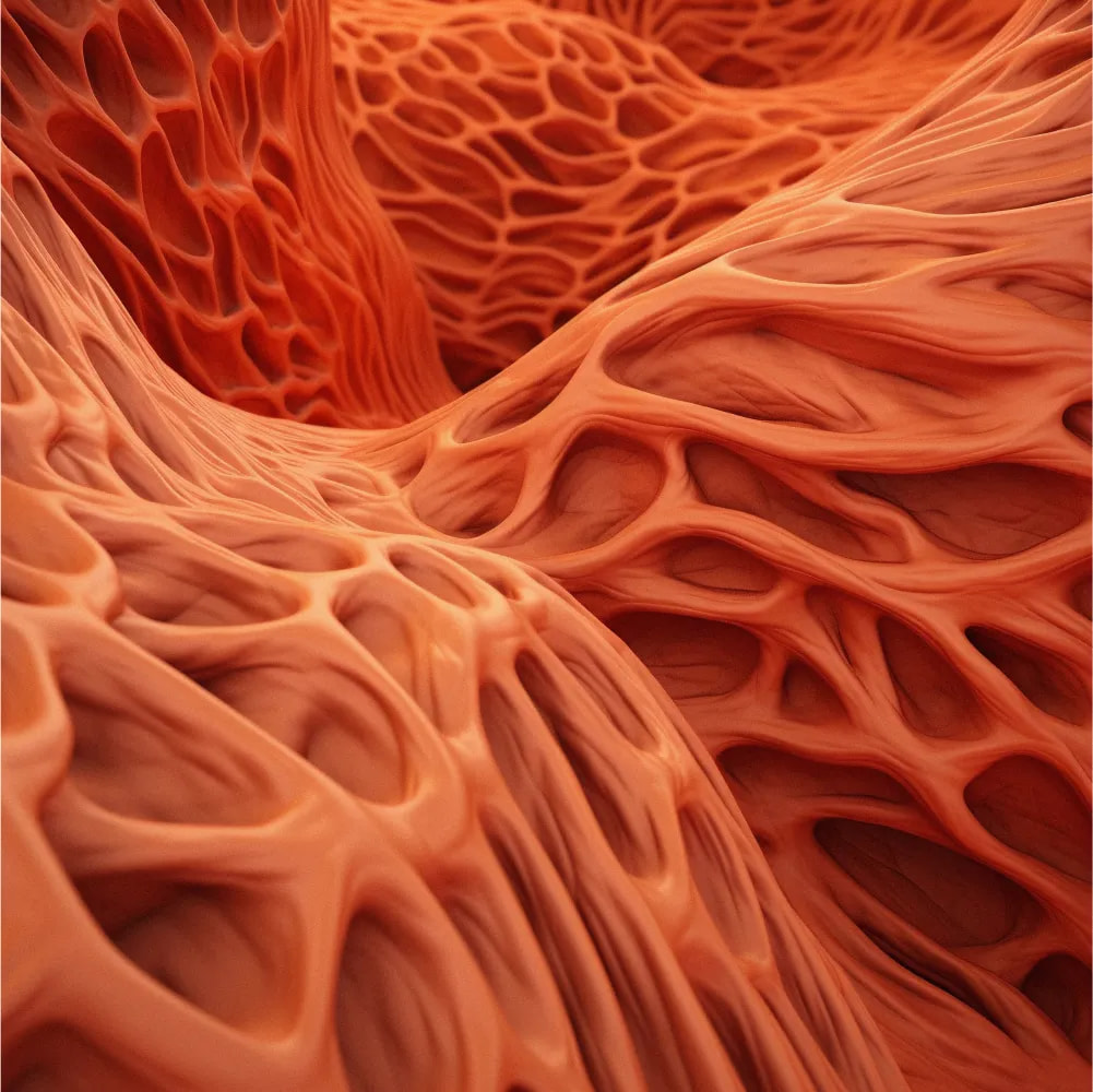 Cover image for research topic "The Stretch-shortening Cycle of Active Muscle and Muscle-tendon Complex: What, Why and How It Increases Muscle Performance?"