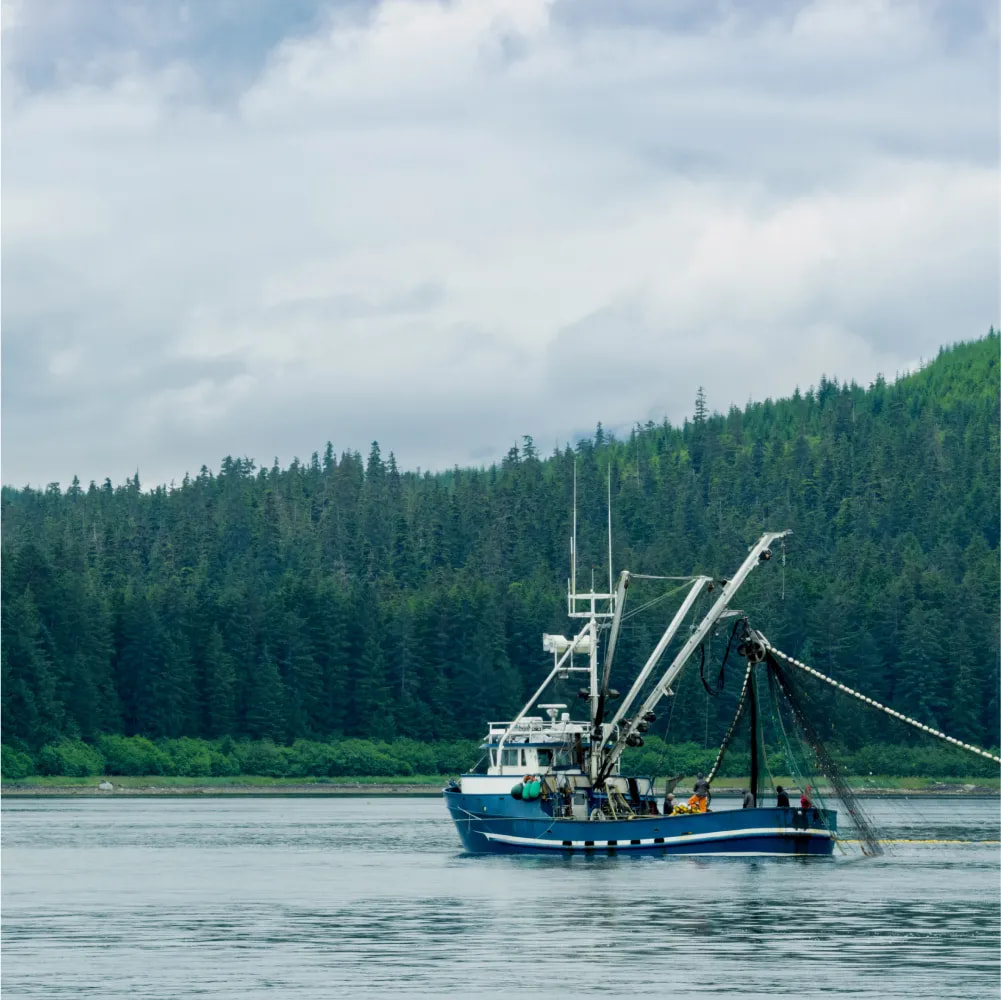 Cover image for research topic "Multiple Stressors and Ecological Response in Marine Fishery Ecosystems"