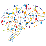 Cover image for "The Commonality in Converged Pathways and Mechanisms Underpinning Neurodevelopmental and Psychiatric Disorders"