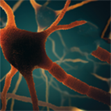 Cover image for "Advances in Connectome-Wide Association Studies (CWAS) Along the Neurodegeneration Trajectory"