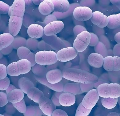 Cover image for research topic "Bridging the Gap between Discovery and Clinical Development for Antimicrobial Peptides"