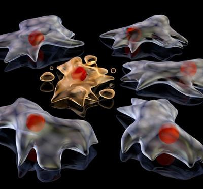 Cover image for research topic "Microbial Modulation of Host Programmed Cell Death"