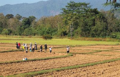 Cover image for research topic "Jurisdictional Approaches to Sustainability in the Tropics"