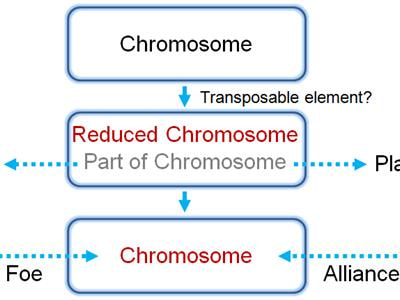 Cover image for research topic "Evolution and function of bacterial and archaeal genome sequences"