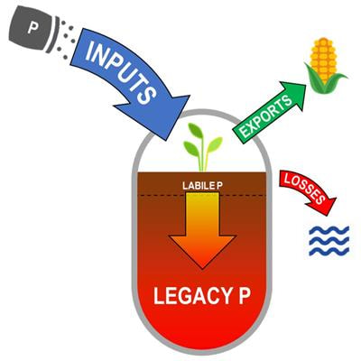 Cover image for research topic "Legacy Phosphorus in Agriculture: Role of Past Management and Perspectives for the Future"