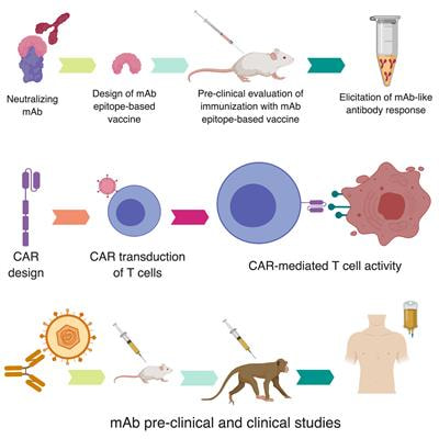 Cover image for research topic "Immunotherapeutic and Immunoprophylactic Strategies for Infectious Diseases"