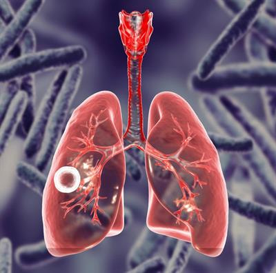 Cover image for research topic "Mycobacteria-Host Interactions: Genetics, Immunity, Pathology"