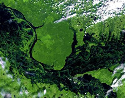 Cover image for research topic "Democratizing Earth Observations-Based Science to Improve Agriculture, Food Security and Resilience, from Village to Globe: Volume I"