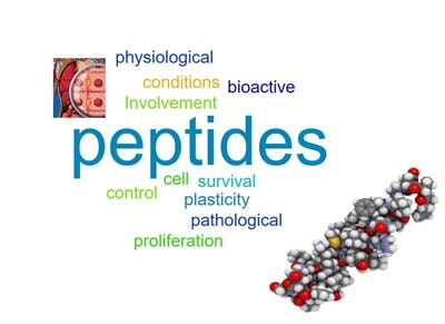 Cover image for research topic "Involvement of Bioactive Peptides in the Control of Cell Survival, Proliferation and Plasticity in Physiological and Pathological Conditions"