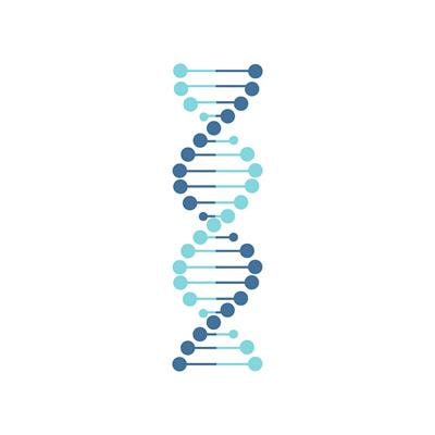 Cover image for research topic "Supramolecular Nucleic Acid Chemistry "