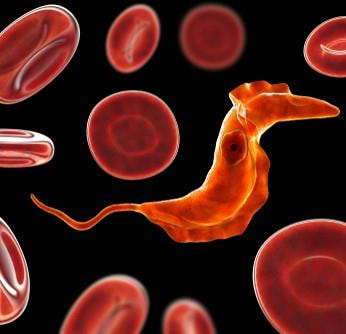 Cover image for research topic "Unravelling T. cruzi Biology"