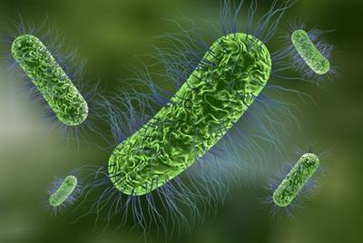 Cover image for research topic "Microbiological Risks in Food Processing"