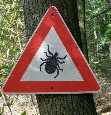 Cover image for research topic "An Overview of Current Knowledge on Ticks and Tick-borne Diseases"