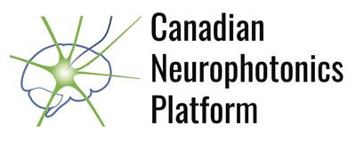 Cover image for research topic "Shedding Light on the Nervous System:  Progress in Neurophotonics Research"
