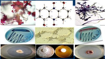 Cover image for research topic "New Antimicrobial Peptides From Bacteria/Invertebrate Obligate Symbiotic Associations"