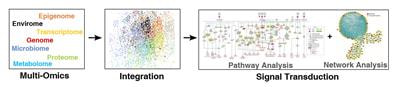Cover image for research topic "Multi-Omics Approaches to Study Signaling Pathways"