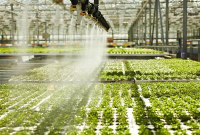 Cover image for research topic "Water-Smart Agricultural Production Technologies Under a Changing Climate"