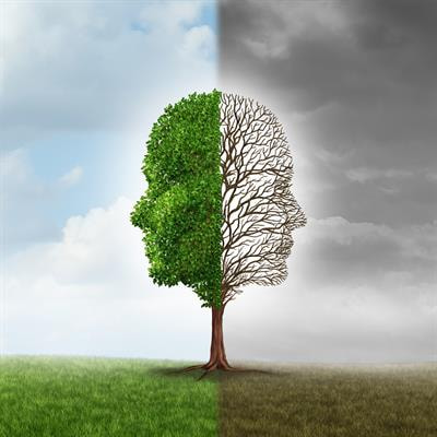 Cover image for research topic "Treatment Over the Lifespan in Bipolar Disorder"