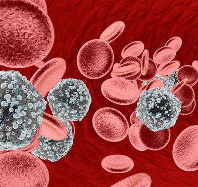 Cover image for research topic "Direct and Indirect Interactions of HIV with Host Cells"