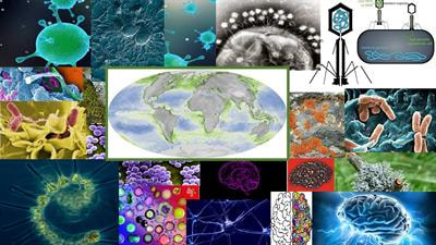 Cover image for research topic "Microbial Systems as Paradigms Of Successful And Sustainable Interactions"