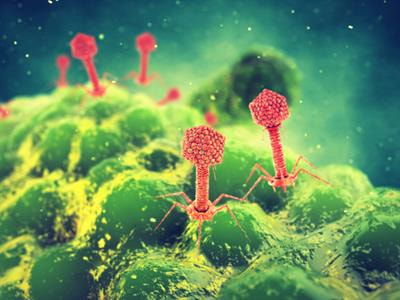 Cover image for research topic "The Enemy of My Enemy Is My Friend: Bacteriophages For The Control of Drug-Resistant Bacteria In Biofilms"