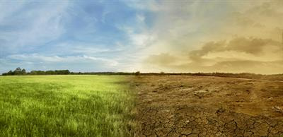 Cover image for research topic "Increasing the Ambition of Climate Change Mitigation in Agriculture whilst Meeting the Sustainable Development Goals (SDGs) and Food Policy Aims"