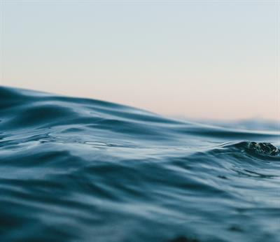 Cover image for research topic "Marine Ecosystem Assessment for the Southern Ocean: Meeting the Challenge for Conserving Earth Ecosystems in the Long Term"