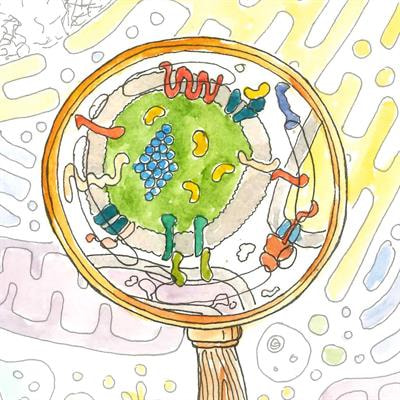 Cover image for research topic "Peroxisome Biology: Breakthroughs, Challenges and Future Directions"